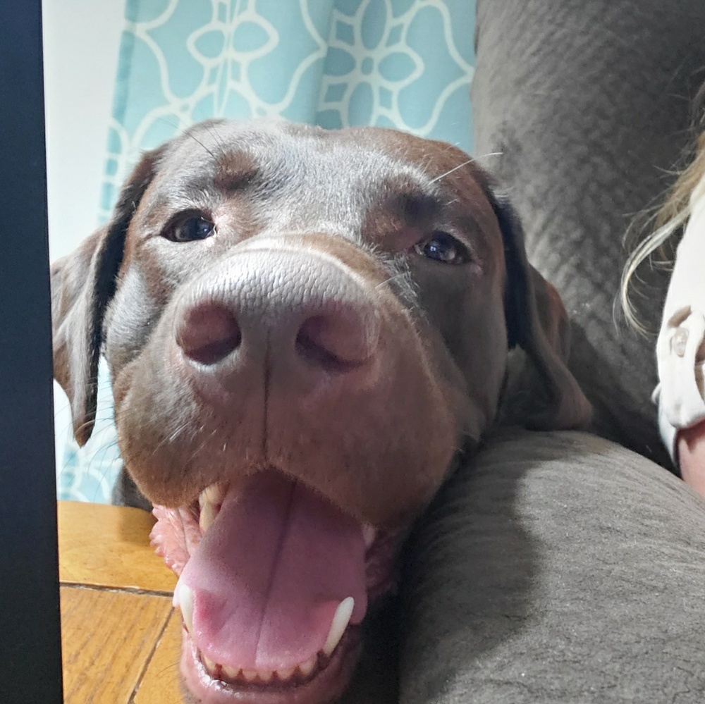 Meet your Posher, Eileen